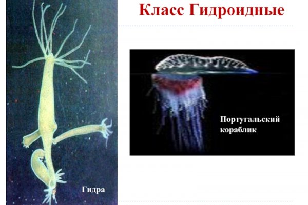Кракен ссылка kraken