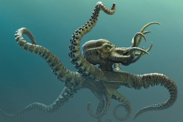Kraken новая ссылка