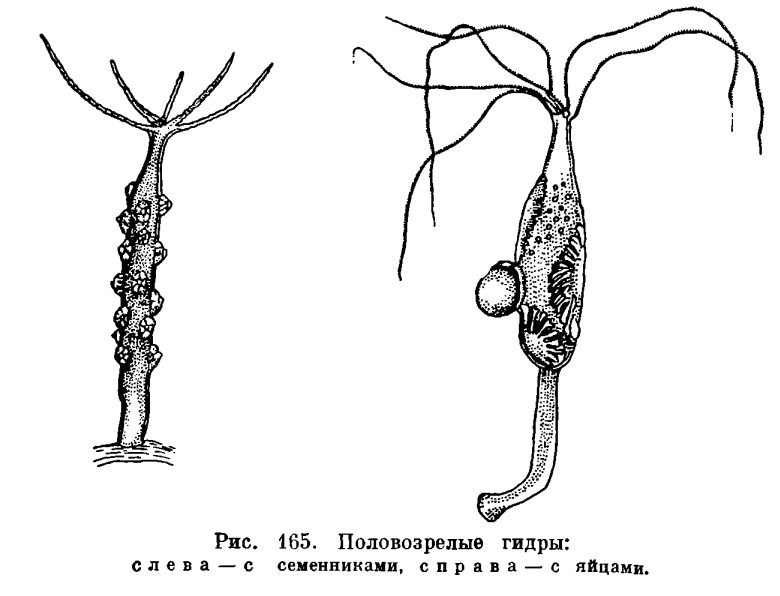 Аккаунты кракен